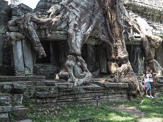 Bild "Angkor_PreahKhan_04.jpg"