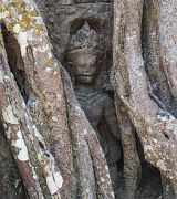 Bild "Angkor_TaSom_13.jpg"