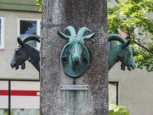 Bild "Goslar_Ziegenbrunnen_03.jpg"